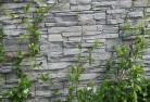 Molesworth TASgreen-walls-4.jpg; ?>